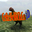 Crazy Chicken 3D Logo